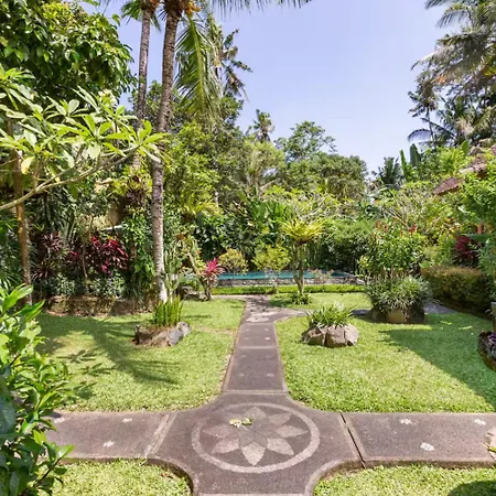 Gekko Garden