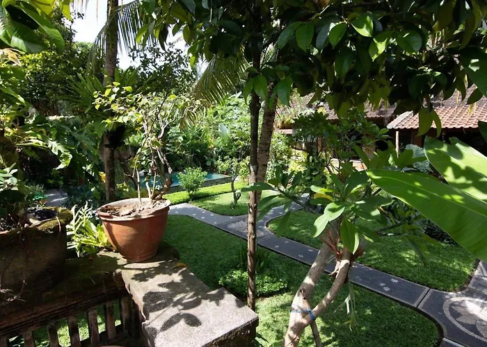 Gekko Garden 3*
